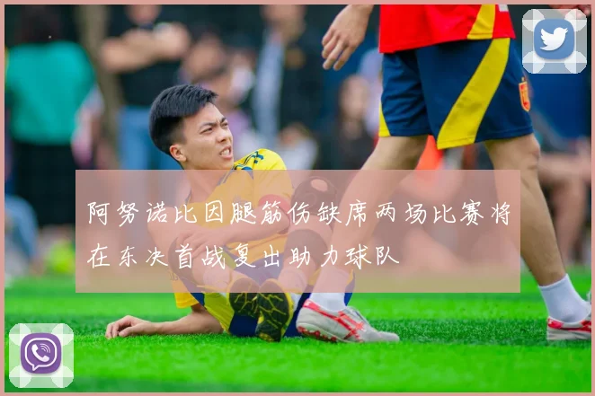 阿努诺比因腿筋伤缺席两场比赛将在东决首战复出助力球队