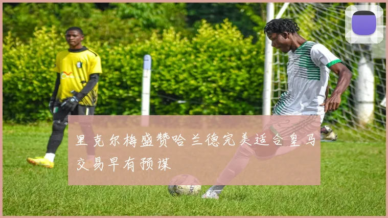 里克尔梅盛赞哈兰德完美适合皇马交易早有预谋